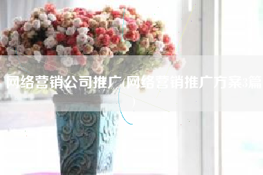 网络营销公司推广(网络营销推广方案3篇)