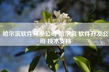 哈尔滨软件开发公司 哈尔滨 软件开发公司 技术支持