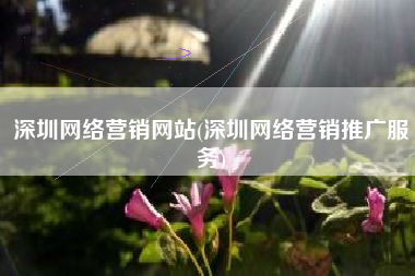 深圳网络营销网站(深圳网络营销推广服务)