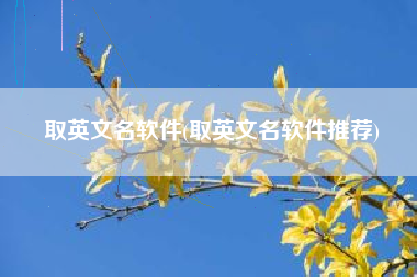 取英文名软件(取英文名软件推荐)
