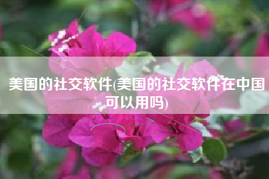 美国的社交软件(美国的社交软件在中国可以用吗)