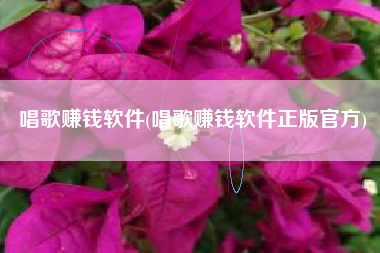 唱歌赚钱软件(唱歌赚钱软件正版官方)