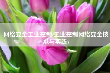 网络安全工业控制(工业控制网络安全技术与实践)