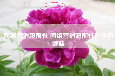 网络营销超前性 网络营销超前性例子有哪些