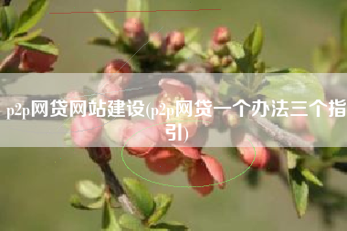 p2p网贷网站建设(p2p网贷一个办法三个指引)