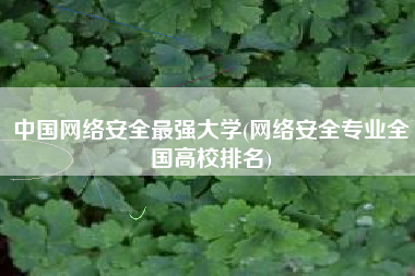 中国网络安全最强大学(网络安全专业全国高校排名)