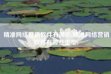 精准网络营销软件有哪些(精准网络营销软件有哪些类型)
