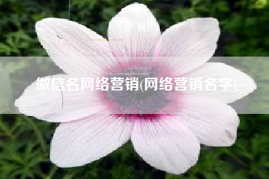 微信名网络营销(网络营销名字)