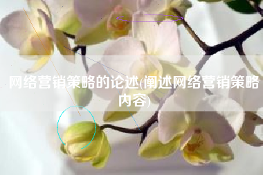 网络营销策略的论述(阐述网络营销策略内容)
