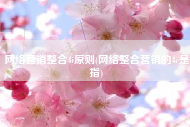 网络营销整合4i原则(网络整合营销的4c是指)