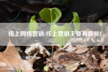 线上网络营销(线上营销主要有哪些)