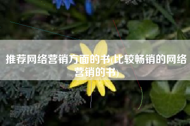 推荐网络营销方面的书(比较畅销的网络营销的书)
