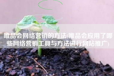 唯品会网络营销的方法(唯品会应用了哪些网络营销工具与方法进行网站推广)