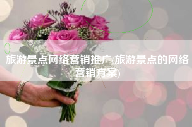 旅游景点网络营销推广(旅游景点的网络营销方案)