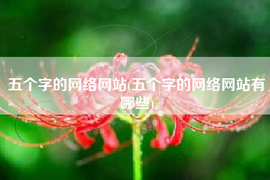 五个字的网络网站(五个字的网络网站有哪些)