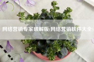 网络营销专家破解版(网络营销软件大全)