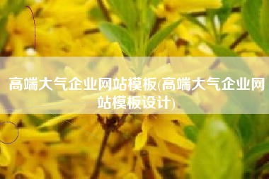 高端大气企业网站模板(高端大气企业网站模板设计)