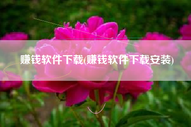 赚钱软件下载(赚钱软件下载安装)