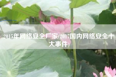 2015年网络安全厂家(2017国内网络安全十大事件)