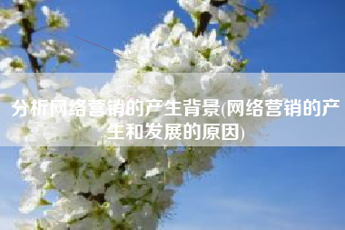 分析网络营销的产生背景(网络营销的产生和发展的原因)