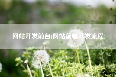 网站开发前台(网站前端开发流程)
