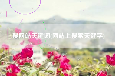 搜网站关键词(网站上搜索关键字)