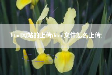 html网站的上传(html文件怎么上传)