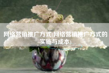 网络营销推广方式(网络营销推广方式的实施与成本)