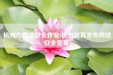 杭州市网络安全作业(杭州教育发布网络安全竞赛)