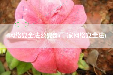 网络安全法公安部(囯家网络安全法)