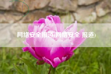 网络安全报道(网络安全 报道)