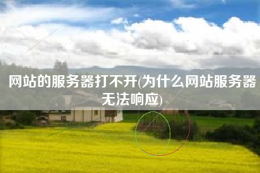 网站的服务器打不开(为什么网站服务器无法响应)
