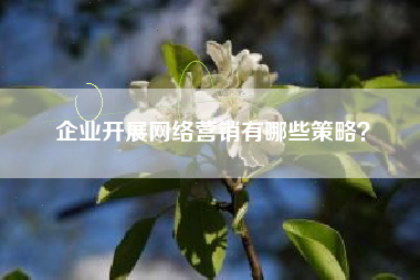 企业开展网络营销有哪些策略？