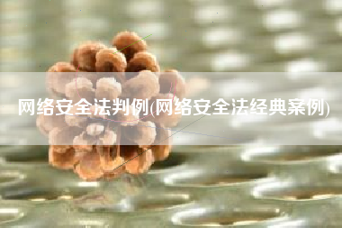 网络安全法判例(网络安全法经典案例)