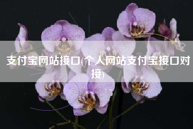 支付宝网站接口(个人网站支付宝接口对接)