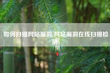如何扫描网站漏洞(网站漏洞在线扫描检测)