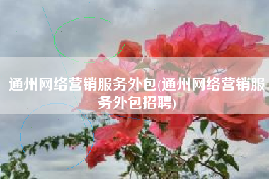 通州网络营销服务外包(通州网络营销服务外包招聘)