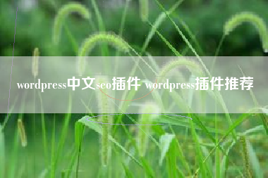 wordpress中文seo插件 wordpress插件推荐