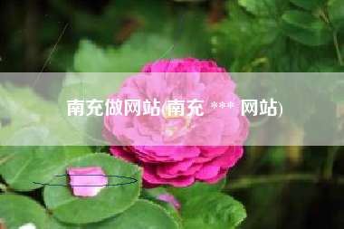 南充做网站(南充 *** 网站)