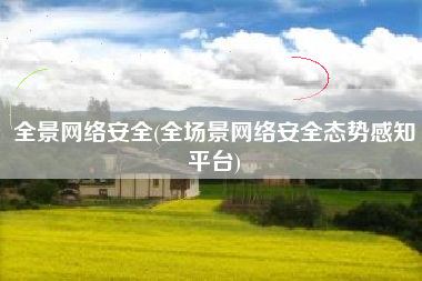 全景网络安全(全场景网络安全态势感知平台)