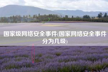 国家级网络安全事件(国家网络安全事件分为几级)