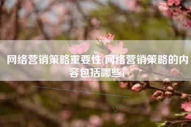 网络营销策略重要性(网络营销策略的内容包括哪些)