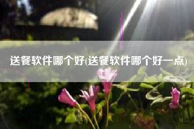 送餐软件哪个好(送餐软件哪个好一点)