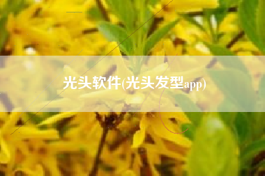 光头软件(光头发型app)