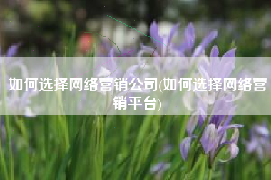 如何选择网络营销公司(如何选择网络营销平台)