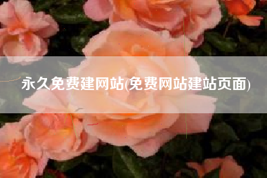 永久免费建网站(免费网站建站页面)