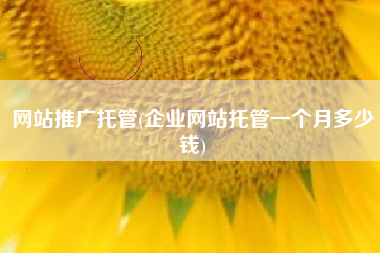 网站推广托管(企业网站托管一个月多少钱)