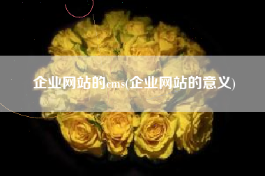 企业网站的cms(企业网站的意义)