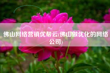 佛山网络营销优帮云(佛山做优化的网络公司)