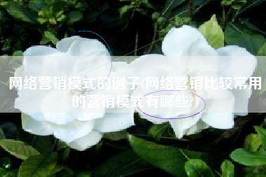 网络营销模式的例子(网络营销比较常用的营销模式有哪些?)